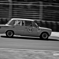 dzintara volga-5559